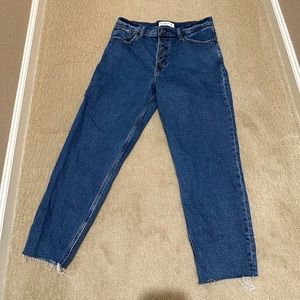 Abercrombie and Fitch High Rise Mom Jeans (Short)